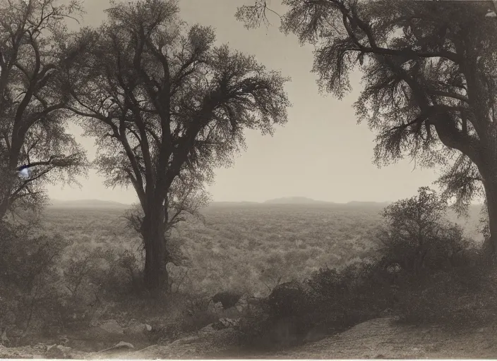 Image similar to Overlook of a river and chaparrals with sparse catci, albumen silver print by Timothy H. O'Sullivan.