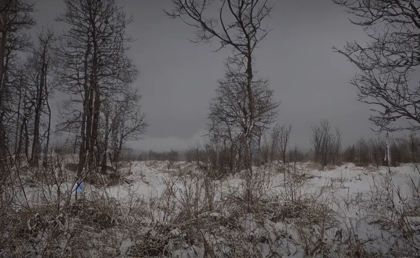 Image similar to a bleak empty winter northern wilderness