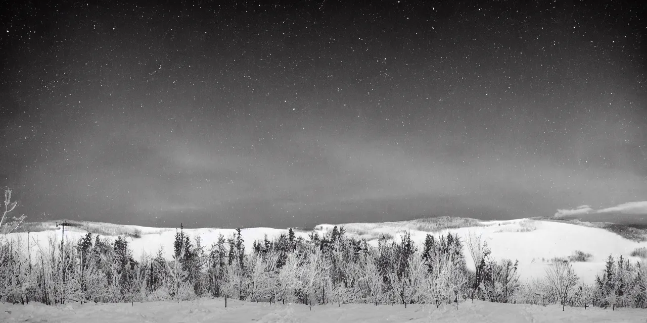 Image similar to laurentian appalachian mountains in winter, unique, original and creative landscape, black and white semiabstract, snowy night, distant town lights, aurora borealis, deers and ravens, footsteps in the snow, brilliant composition, fascinating textures