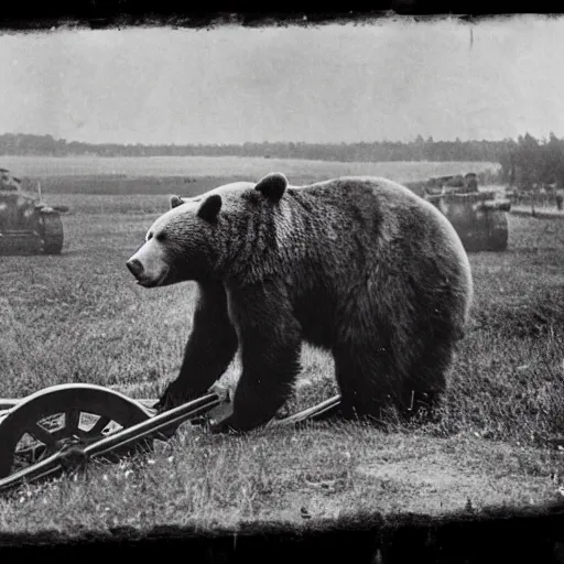 Image similar to a picture of a giant bear pulling a towed canon on wheel, eastern front, ww 2, historical picture