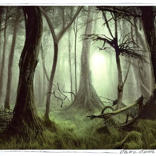 Image similar to the dark forest dreams go to die in