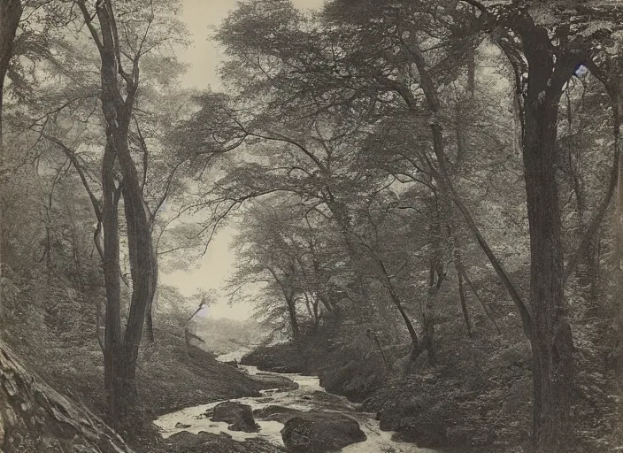 Image similar to Overlook of a river flowing through a tarot card forest, albumen silver print by Timothy H. O'Sullivan.