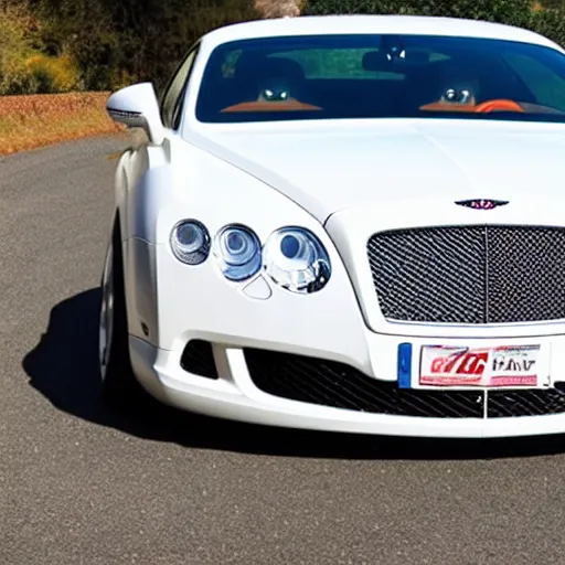 Image similar to white Bentley Continental Gt !Exploding