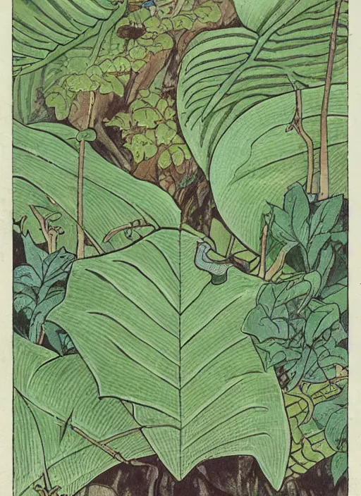 Prompt: fantasy scientific botanical trading card illustration of a green leafy plant that grows like a waterfall ,Ukiyo-e, isometric view, diego rivera