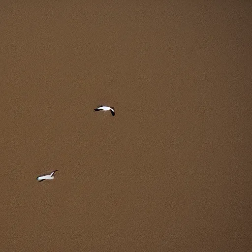 Image similar to Birds flying out of a Vase in the sand desert, 40nm, shallow depth of field, split lighting, 4k,