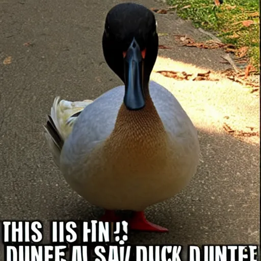 Image similar to This is Fine. Meme with a Duck instead