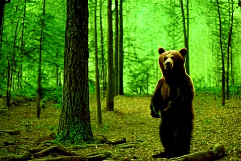 Image similar to a movie still of a bear in a forest by walerian borowczyk, immoral tales, grain, technicolor, high definition, remastered, wide angle, 7 0 mm, wide shot, cinematic