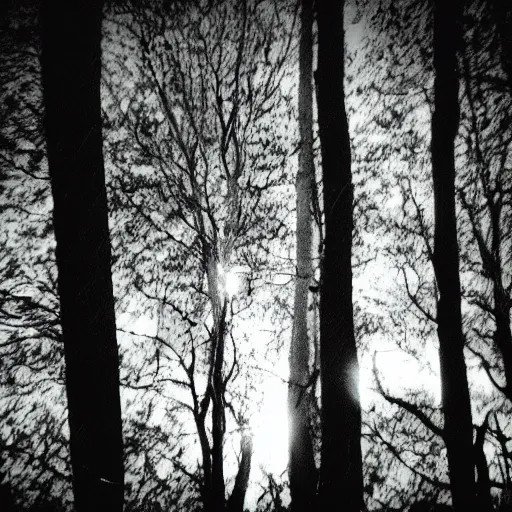 Image similar to grainy trail cam photo still of an alien in the woods at night hiding in the trees of a forest