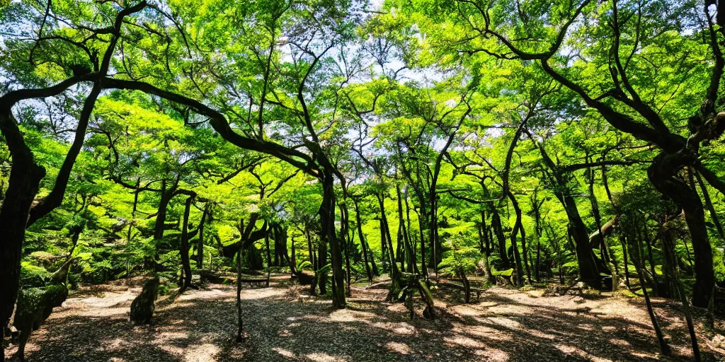 Image similar to a japanese forest on a sunny day