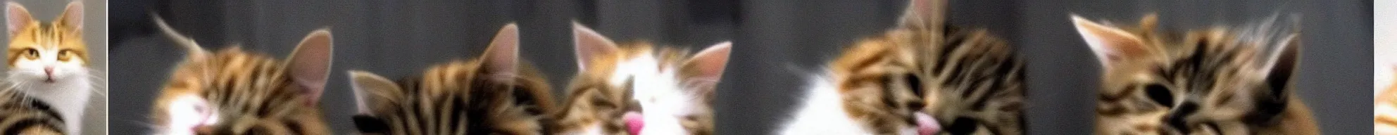 Image similar to consistent frames from a video of a cat running