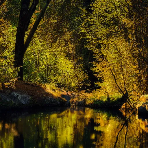 Prompt: river in a forest, golden hour, ray tracing reflection, 8k, hyper realistic