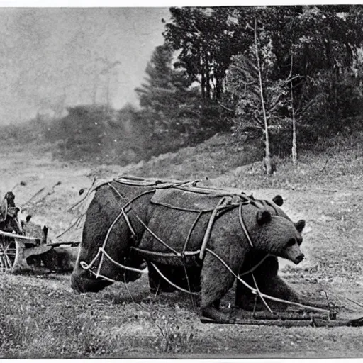 Image similar to a picture of a enormous bear pulling a towed heavy canon behind his back like a chariot, eastern front, historical picture