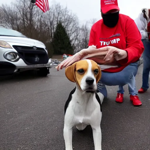 Image similar to beagles getting shot by a trump supporter