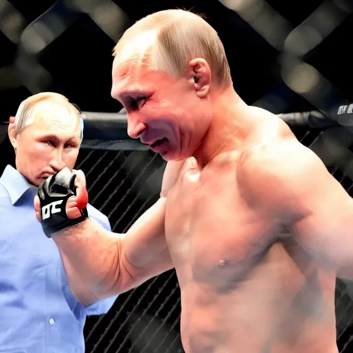 Image similar to Putin in the UFC