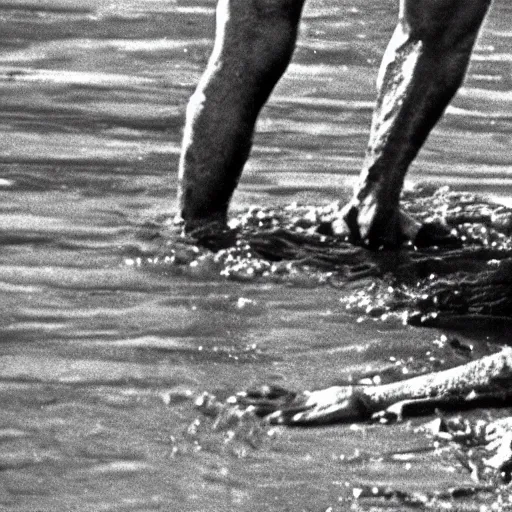 Image similar to film still, close up, joe biden rising out of muddy vietnam river, low camera angle at water level, from apocalypse now ( 1 9 7 9 ), 2 6 mm,