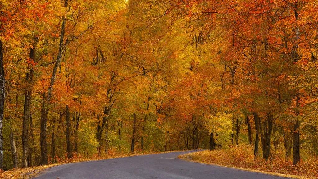 Image similar to a realistic photograph of a country road lined on both sides by maple and poplar trees, in the autumn, red orange and yellow leaves, some leaves have fallen and are under the trees and on the!!!! road