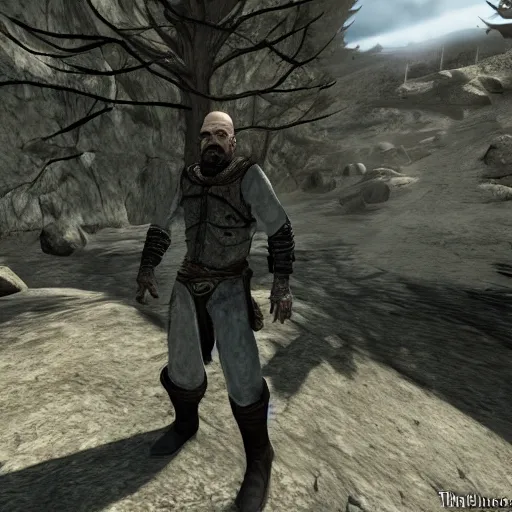 Prompt: Walter White in Skyrim, videogame screenshot