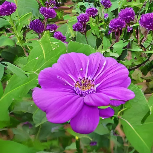 Image similar to purple scarlet flower storm