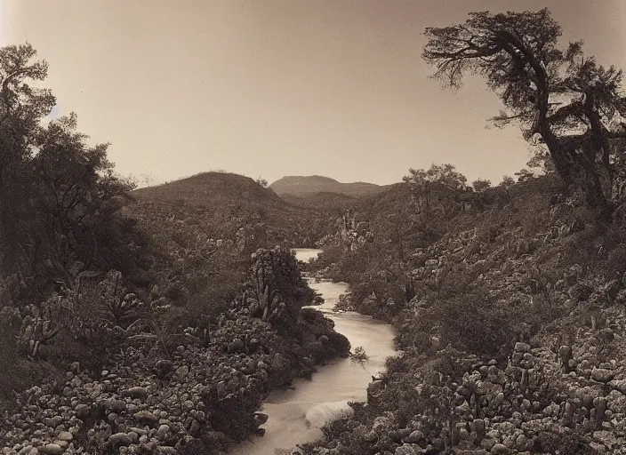 Image similar to Overlook of a river flowing through a cactus forest, albumen silver print by Timothy H. O'Sullivan.