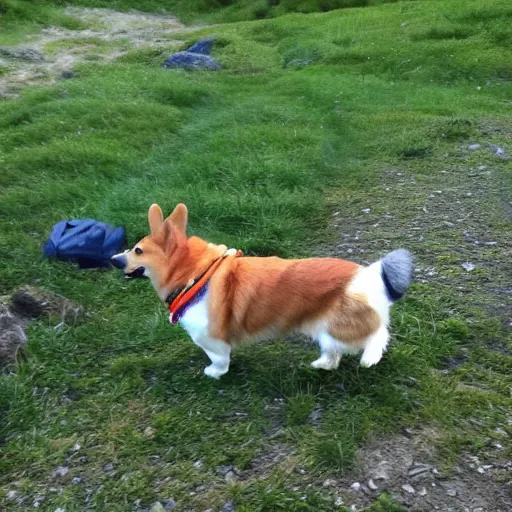 Image similar to corgi backpacking through the mountains, cute, photorealism, action shot