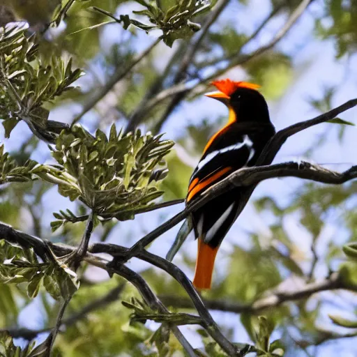 Prompt: the green grass is in spring, and the oriole has a good sound on the tree.