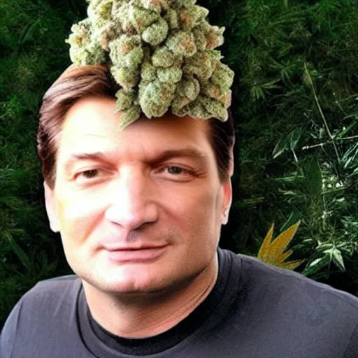 Image similar to beautiful giant marijuana bud as a nathan fillion