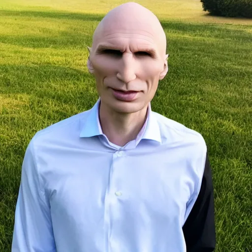 Prompt: Wholesome Voldemort posing from LinkedIn profile picture, professional headshot