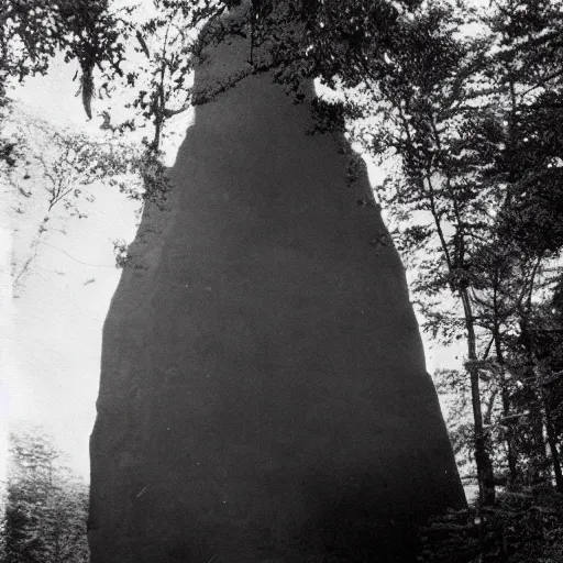 Prompt: old photograph of aliens surrounding a giant alien monolith in a haunted forest, epic composition