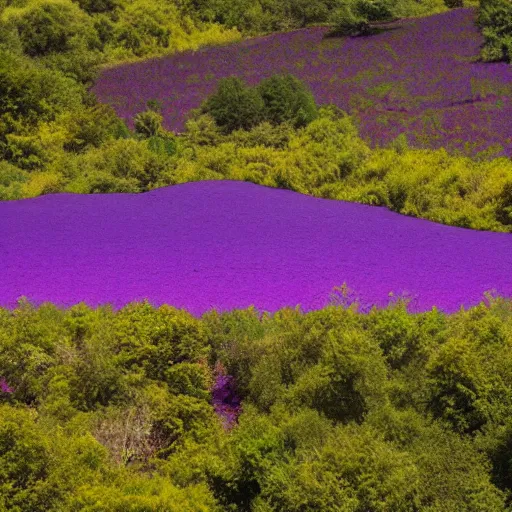 Image similar to landscape covered in purple mold, wide, from a distance