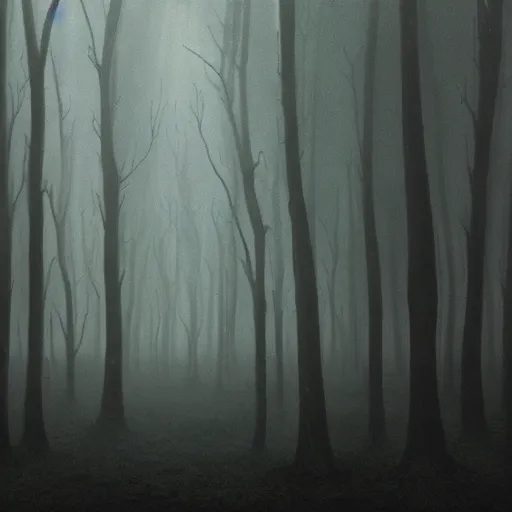 Image similar to deep in a dark and mysterious forest, loneliness, great space, byzdzisław beksinski, 4 k