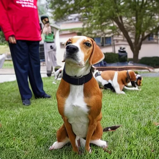 Prompt: beagles getting shot by a trump supporter