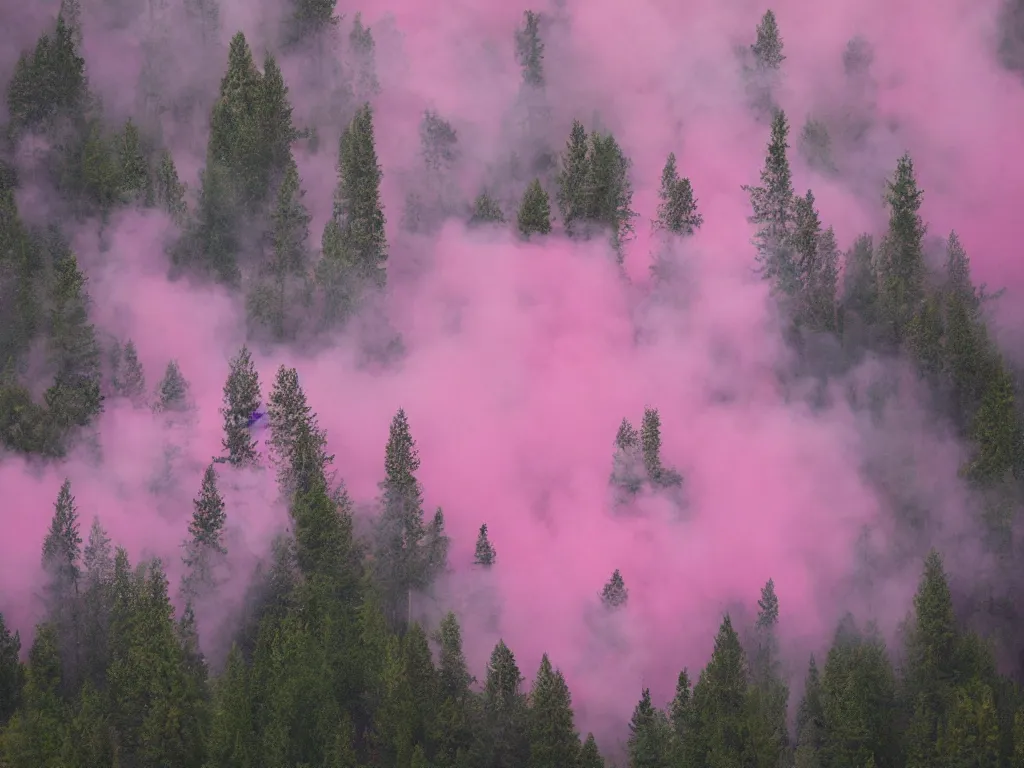 Prompt: forest in pink smoke