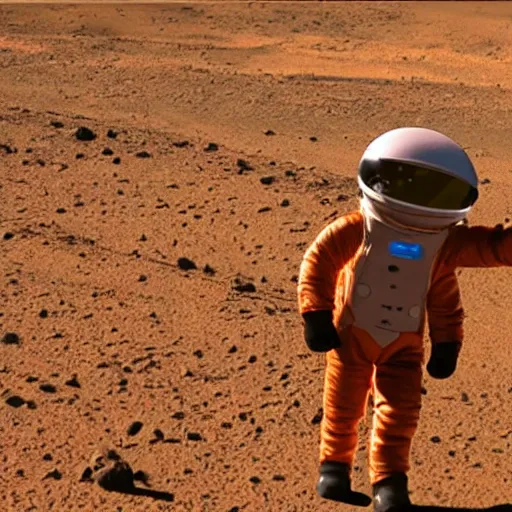 Image similar to cat wearing a spacesuit while walking on martian sunset