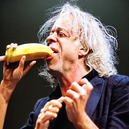 Prompt: bob geldof singing to a banana, concert photo