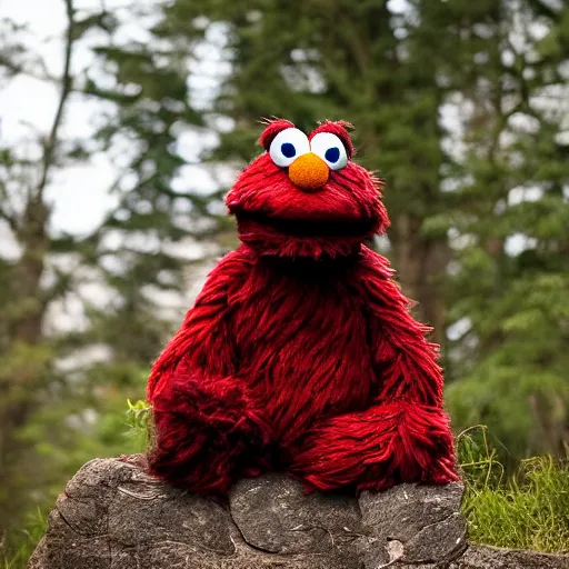 Image similar to a fluffy muppet in the shape of elmo with fluffy soft dark brown fur and with rabbit ears wearing a karate uniform out in nature, photography, photorealistic, muppet, national geohraphic