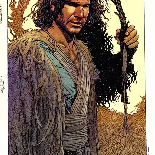 Image similar to a realistic, very beautiful and atmospheric portrait of young harrison ford as a druidic warrior wizard looking at the camera with an intelligent gaze by rebecca guay, michael kaluta, charles vess and jean moebius giraud