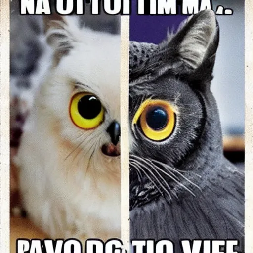 Image similar to not cat not owl not pie not cake not dog not man not time not space not cow