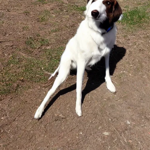 Image similar to idefix enjoying a bone