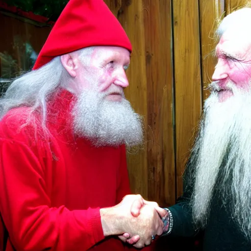 Image similar to daevid allen shaking hands with a real - life gnome