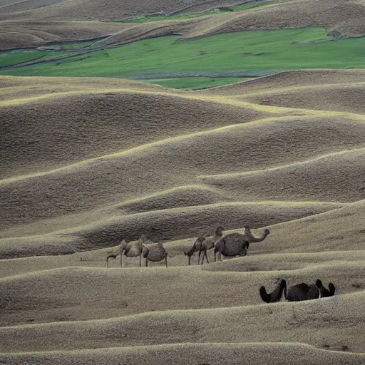 Prompt: a dreamlike landscape where all the hills are made of chicken skin and they have those little bumps and look kind of damp. Along the landscape walks a green skinned six legged camel.