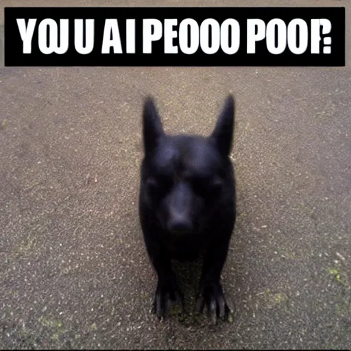 Prompt: you can have a poo