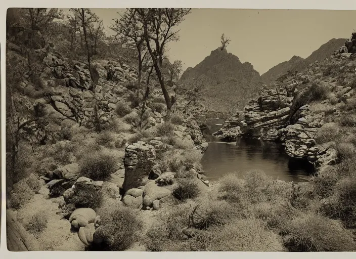 Prompt: Overlook of a river flowing through a cactus forest and rock formations, albumen silver print by Timothy H. O'Sullivan.