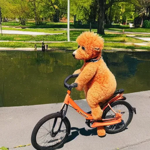 Image similar to A apricot colored toy poodle that looks like a teddy bear riding a bike in a beautiful park with a pond