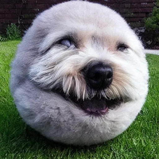 Prompt: a spherical dog