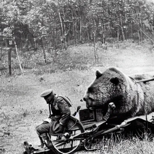 Image similar to a picture of a giant bear pulling a towed canon on wheel behind his back, eastern front, ww 2, historical picture