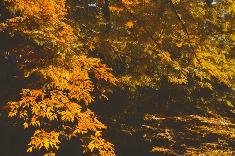 Prompt: fuji 5 0 r 3 5 mm, architectural studio magazine photography, autumn leaves, soft light