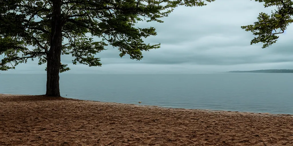 Prompt: centered photograph of center of the lake, a dark lake sandy shore on a cloudy day, color film, beach trees in the background, hyper - detailed kodak color film photo, anamorphic lens