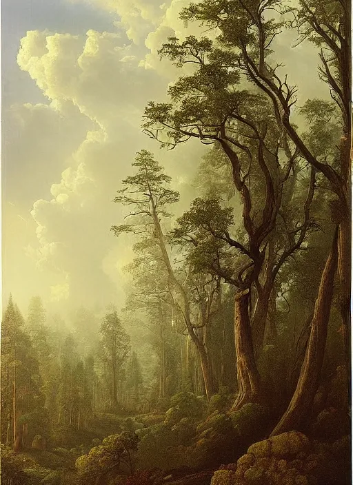 Image similar to a forest with very very tall trees, eerie sparse, epic atmosphere, by asher brown durand, by yoshitaka amano