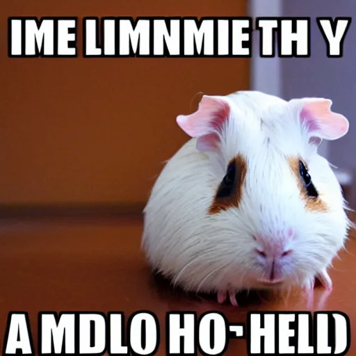 Prompt: a meme image of a guinea pig with text saying hello i'm a guinea pig