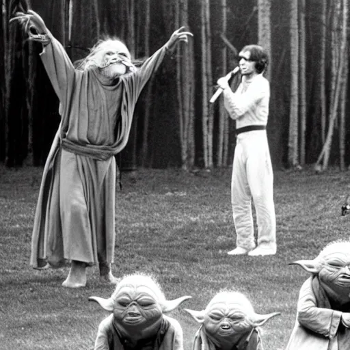 Image similar to yoda performing at woodstock